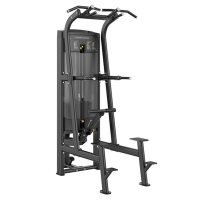 Силовой тренажер Smith Fitness RE8008 Подтягивание/Отжимание с помощью