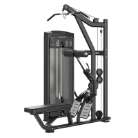 Силовой тренажер Smith Fitness RE8026 Тяга сверху/гребная тяга